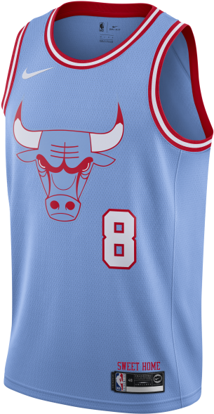 Chicago Bulls Blue Jersey Number8 PNG with transparent background