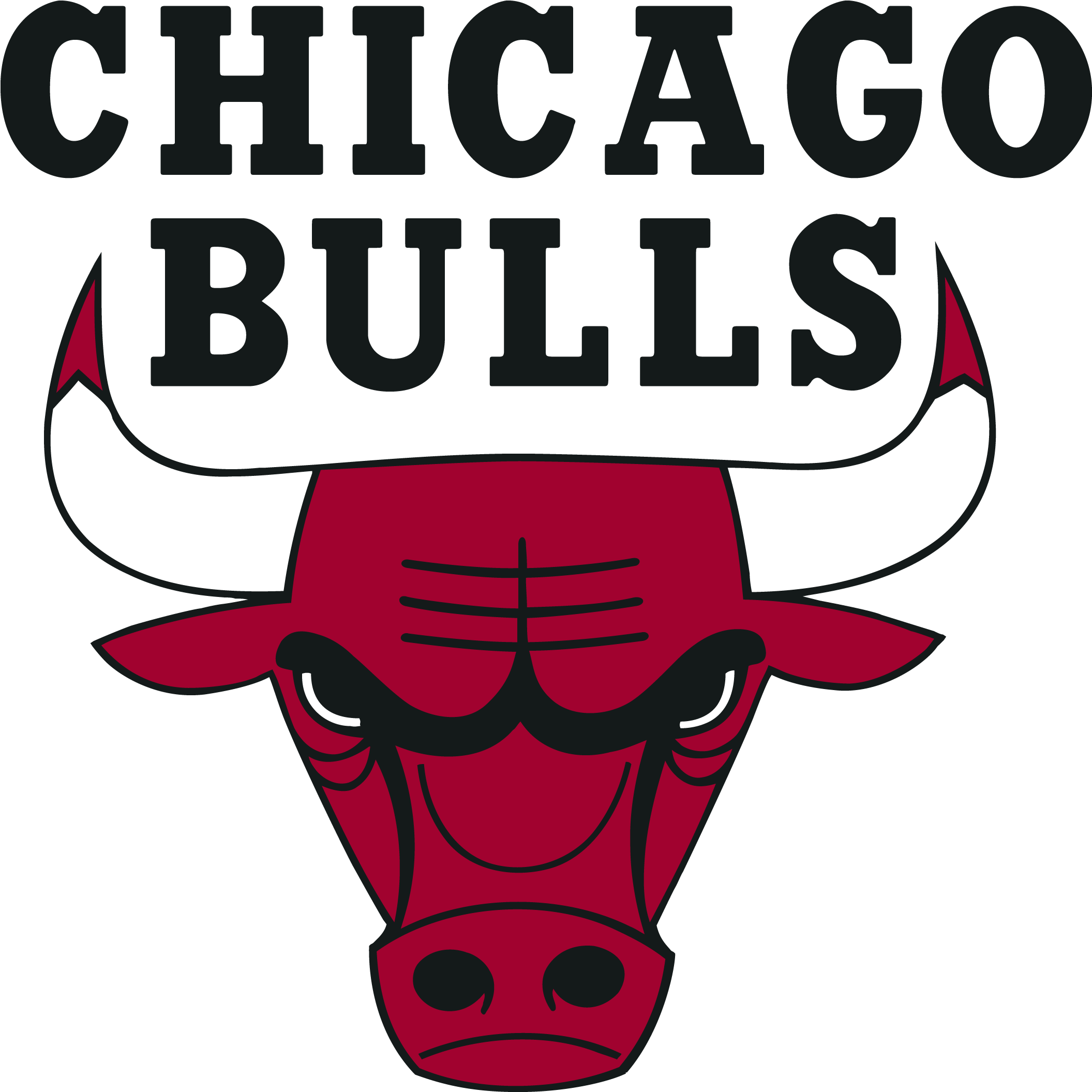 Chicago Bulls Logo Graphic