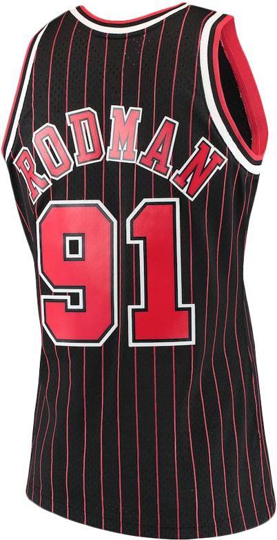Chicago Bulls Rodman91 Jersey PNG with transparent background