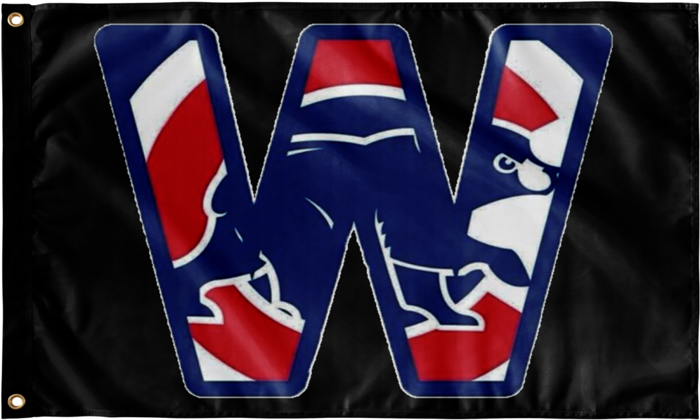 Chicago Cubs Facebook Banner, HD Png Download PNG with transparent background