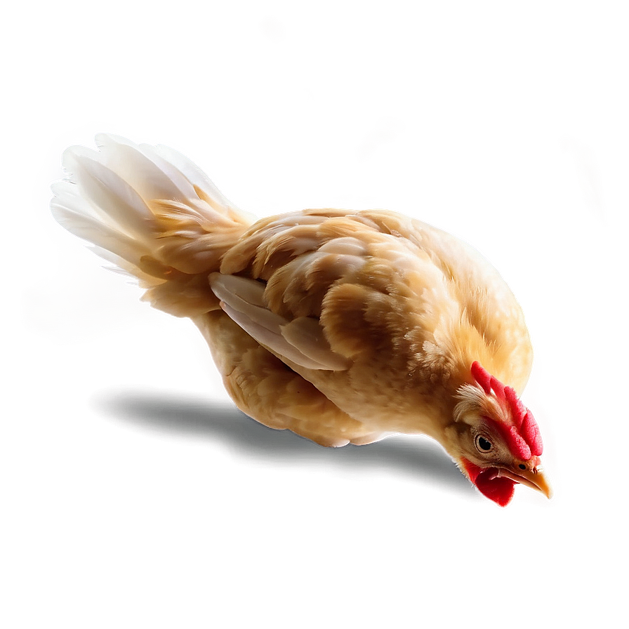 Chicken Sprite Png 81