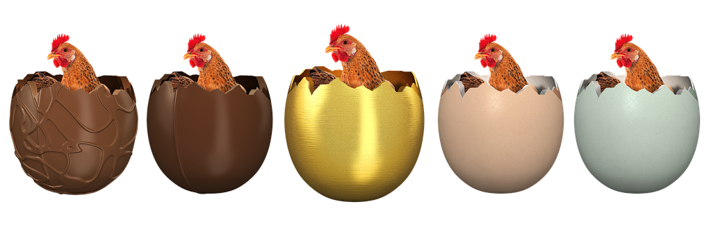 Chickens_ In_ Chocolate_ Eggs