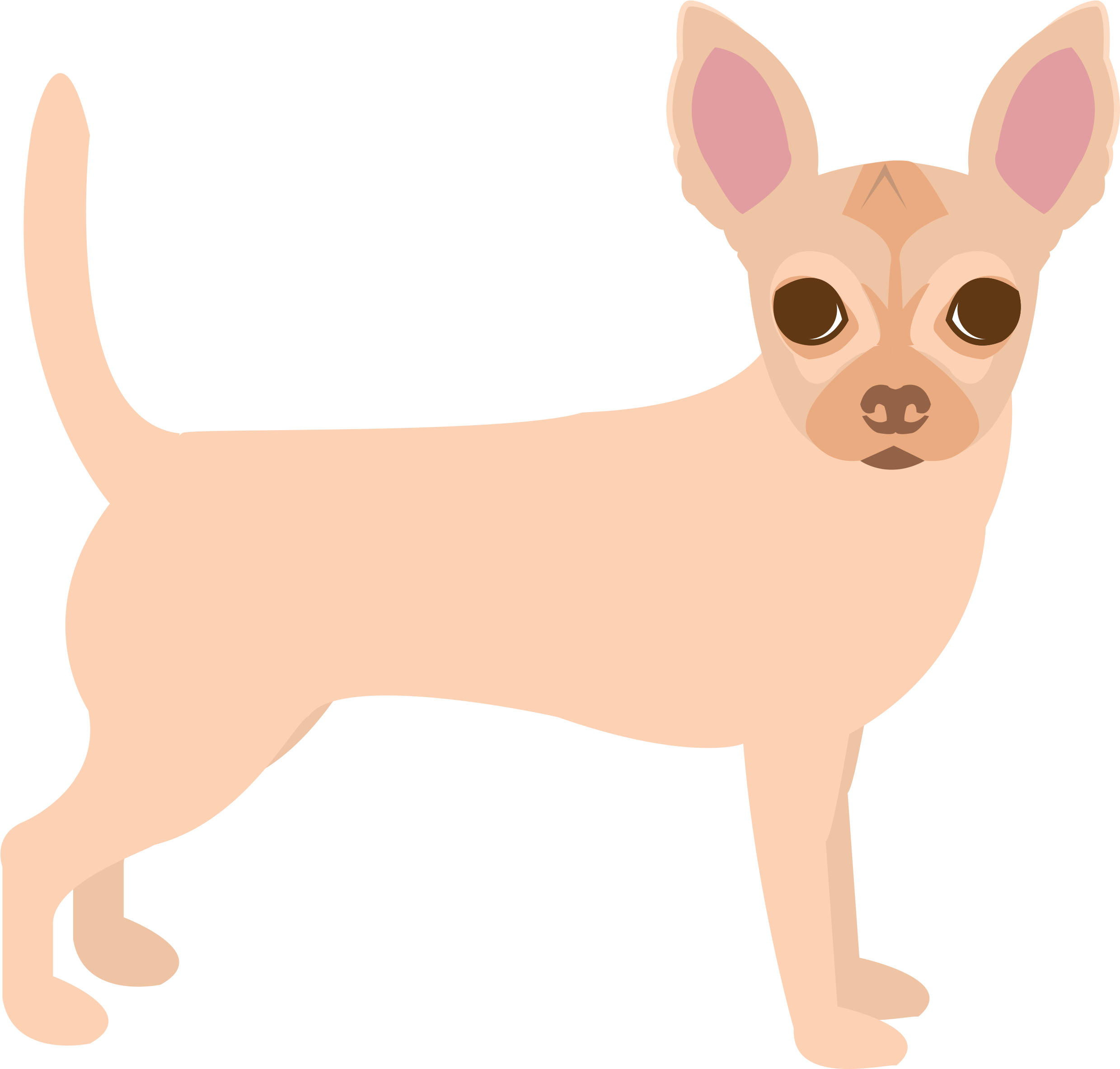 Chihuahua, HD Png Download PNG with transparent background