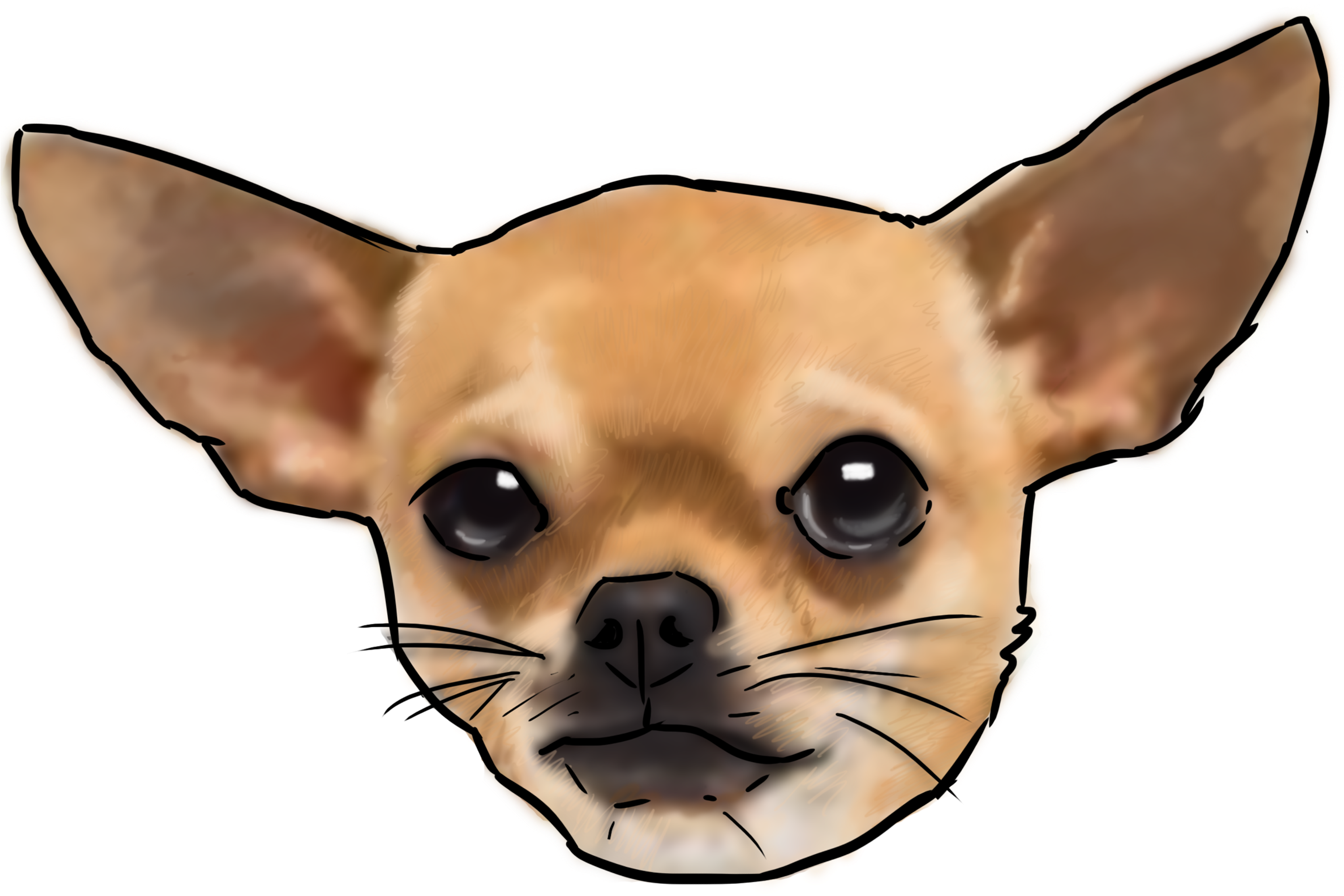 Chihuahua Head Illustration.png