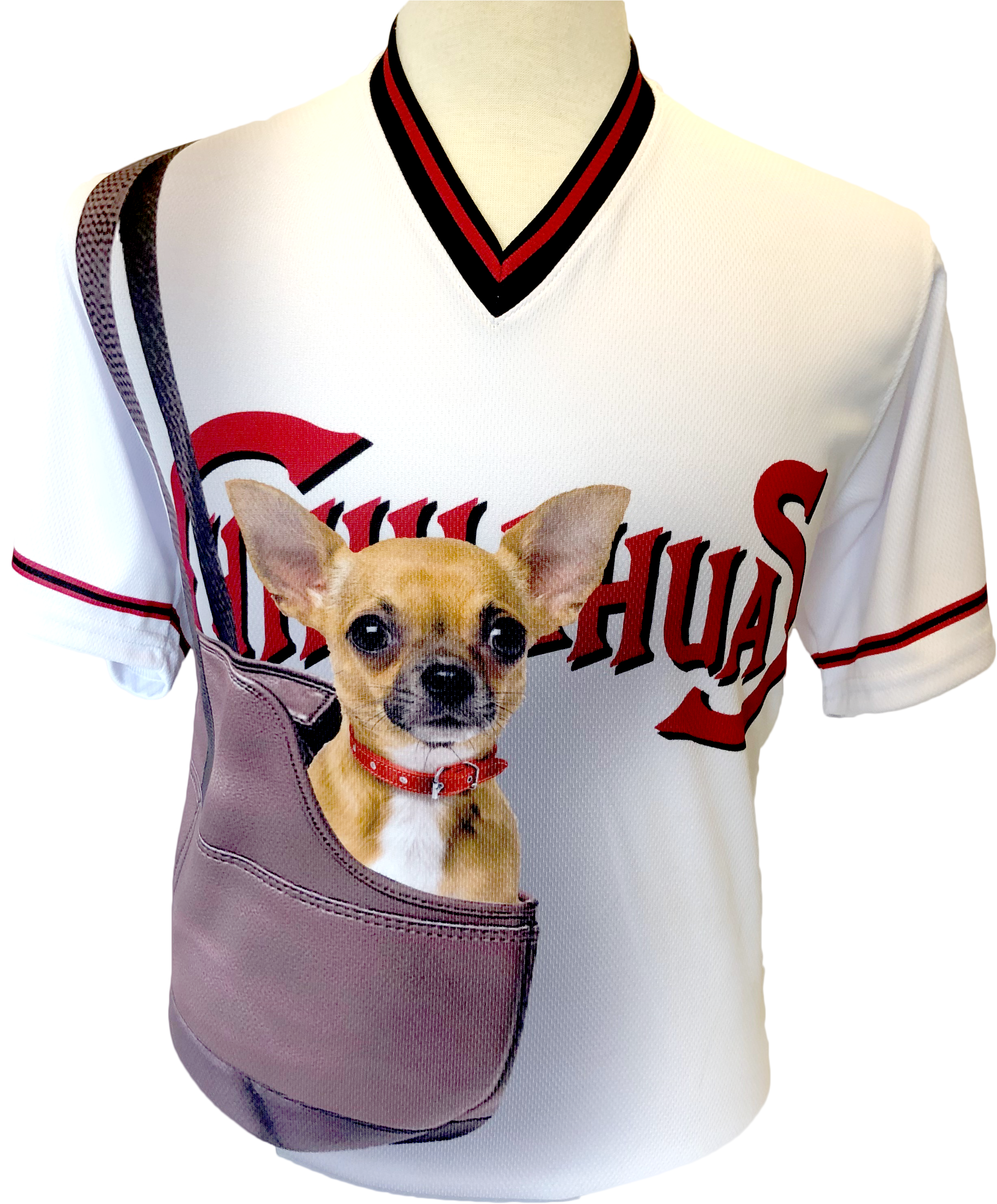 Chihuahua Png, Transparent Png PNG with transparent background