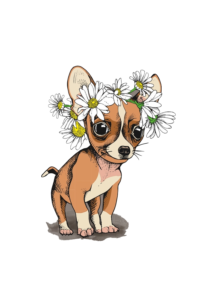 Chihuahuawith Daisy Flower Crown