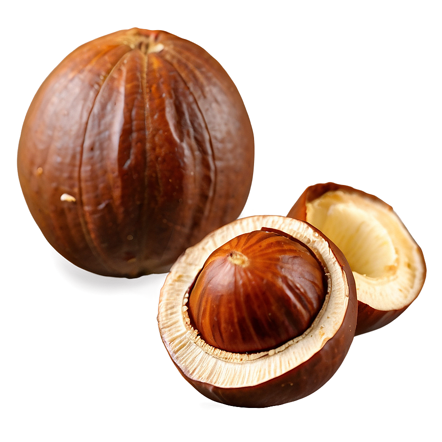 Chilean Hazelnut PNG 06122024 PNG with transparent background