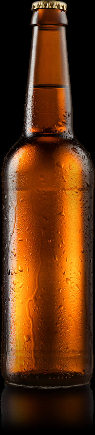 Chilled Beer Bottle Against Black Background PNG with transparent background
