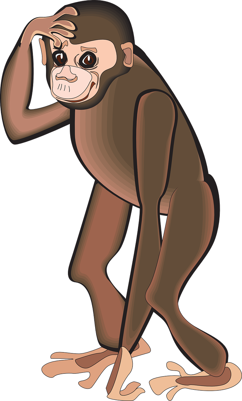Chimpanzee Clipart Png, Transparent Png PNG with transparent background
