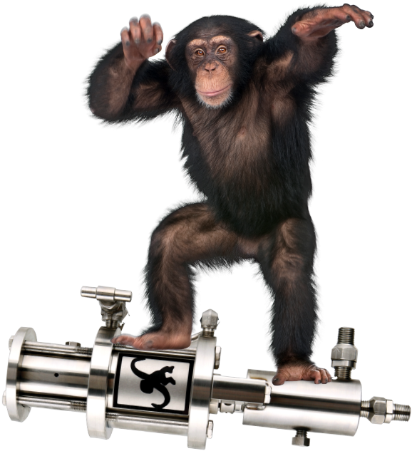 Chimpanzee On Metal Apparatus