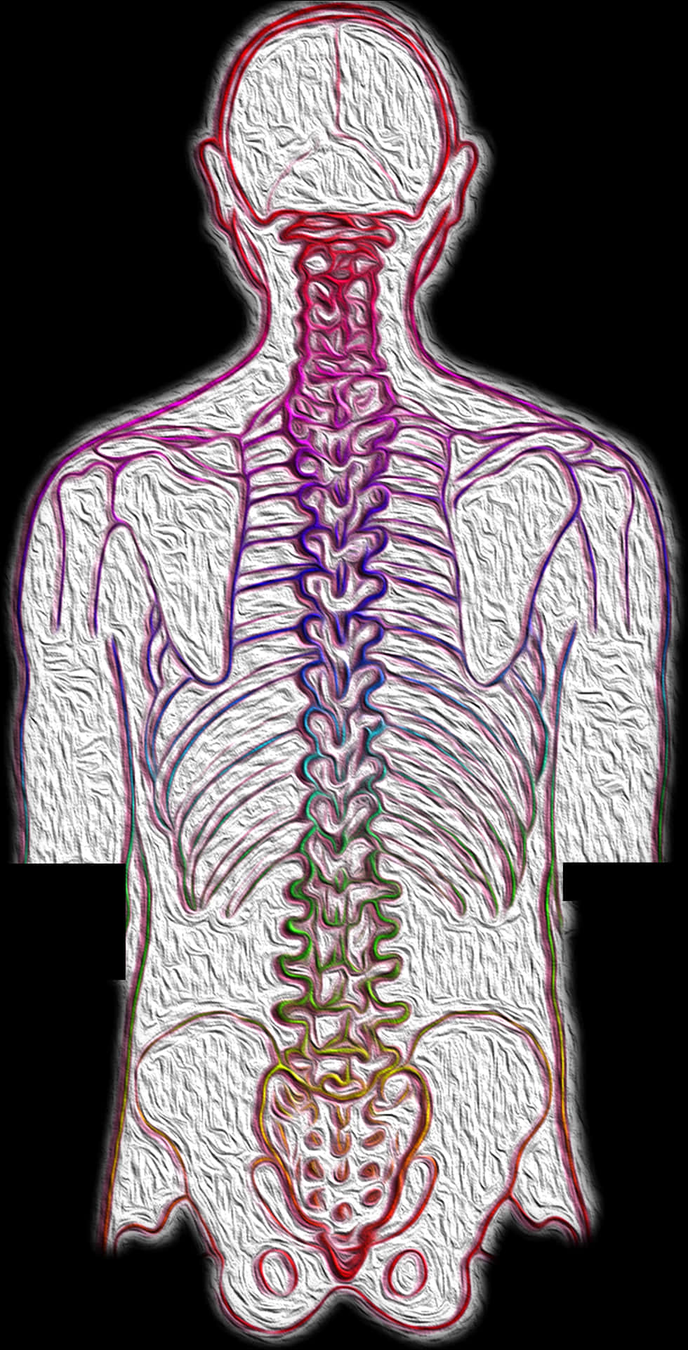 Chiropractic A Key Role In Back Pain Relief And Drug, HD Png Download PNG with transparent background
