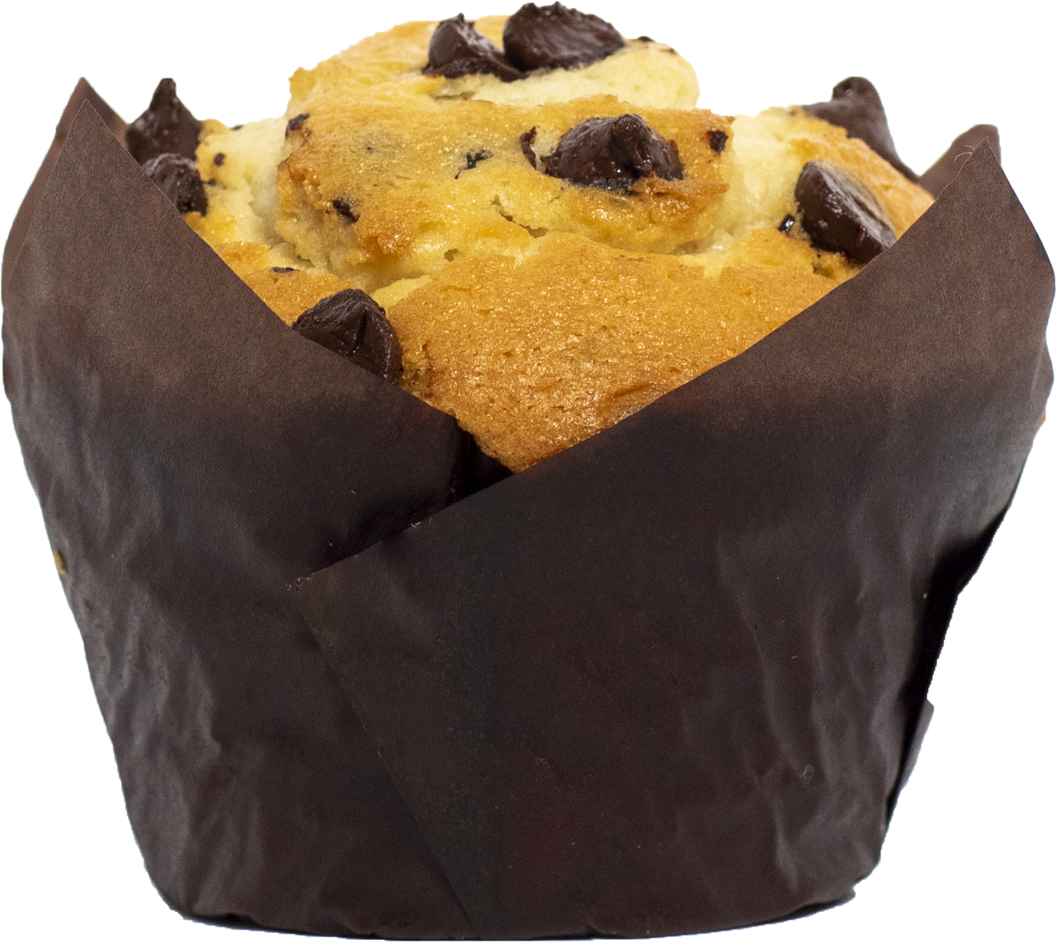 Chocolate Chip Muffin Isolated