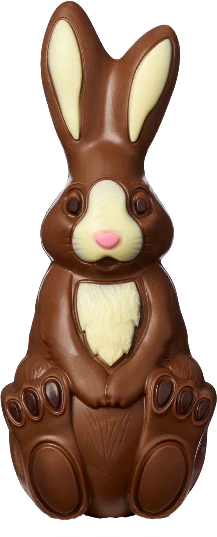 Chocolate Easter Bunny