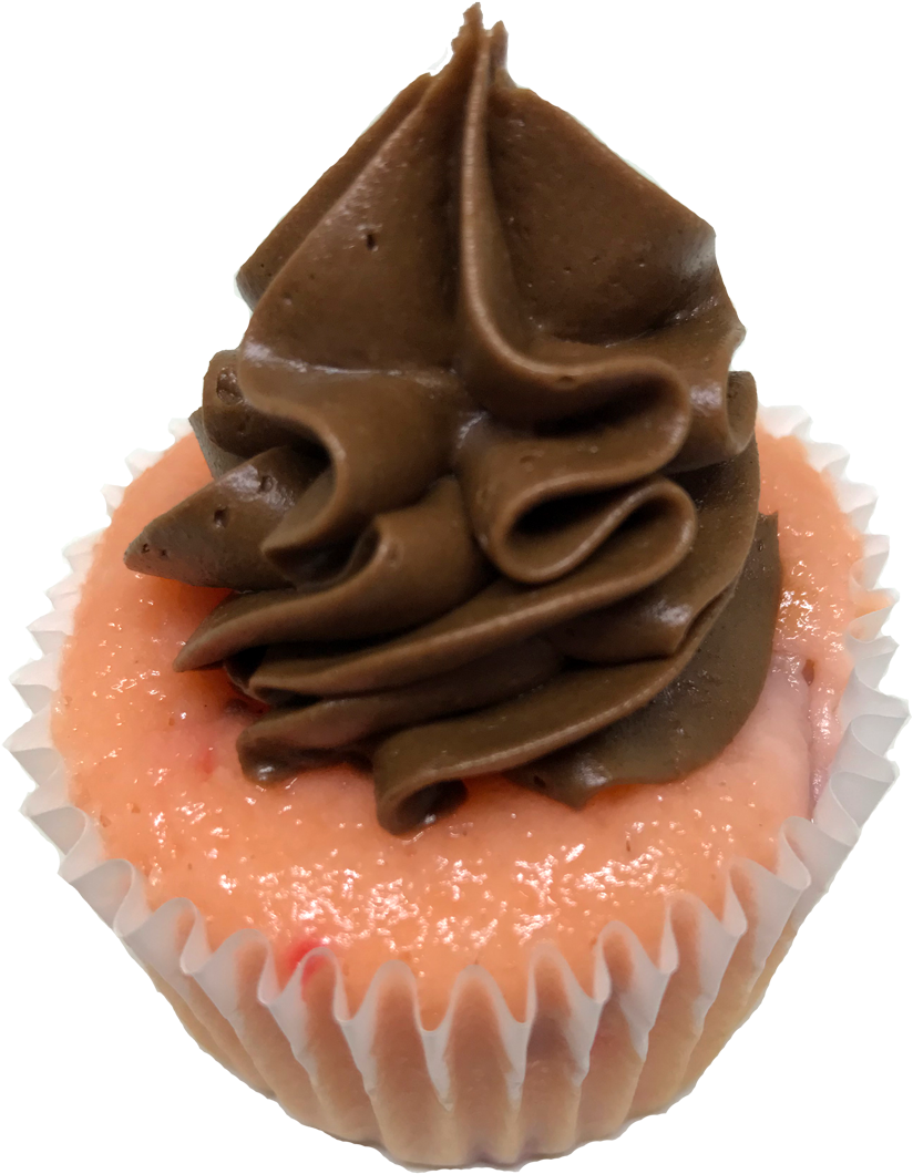 Chocolate Frosting Cupcake