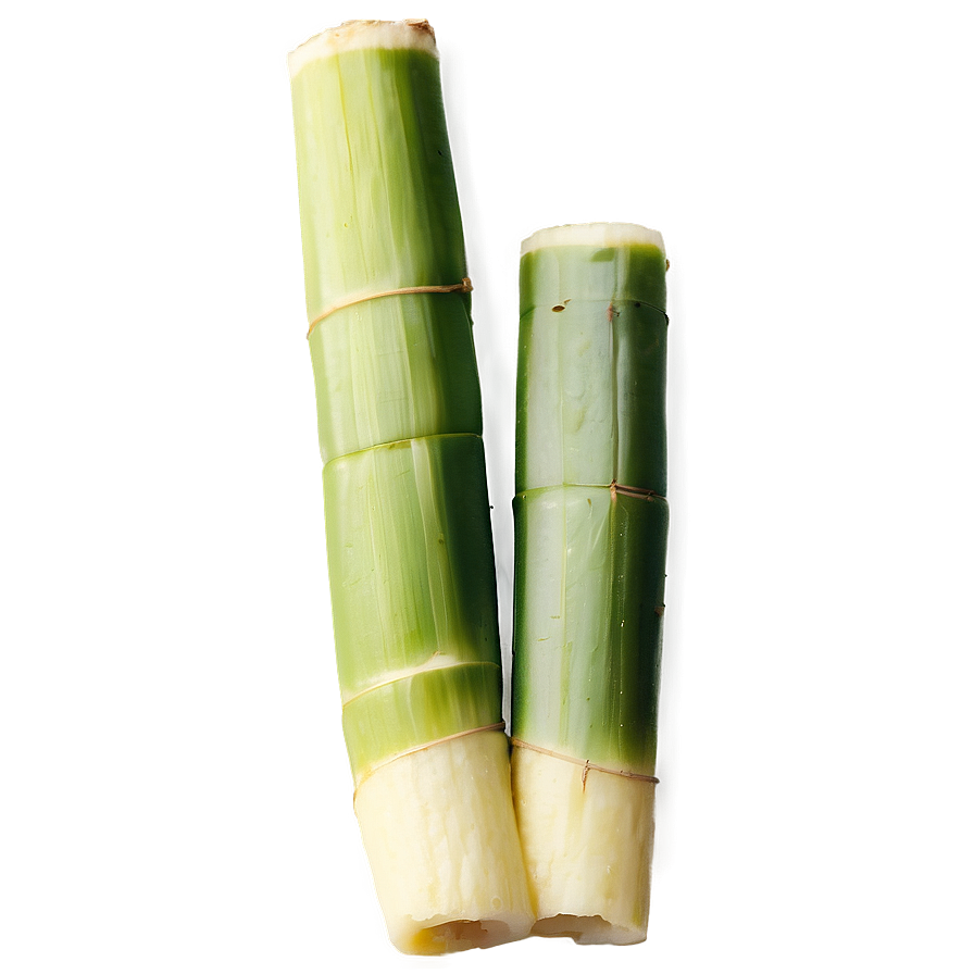 Chopped Sugarcane Pieces Png Ctn