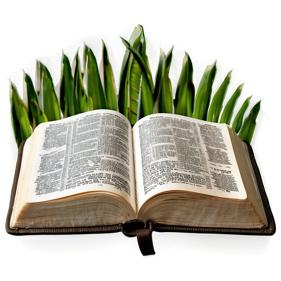 Christian Holy Bible Open Png 22