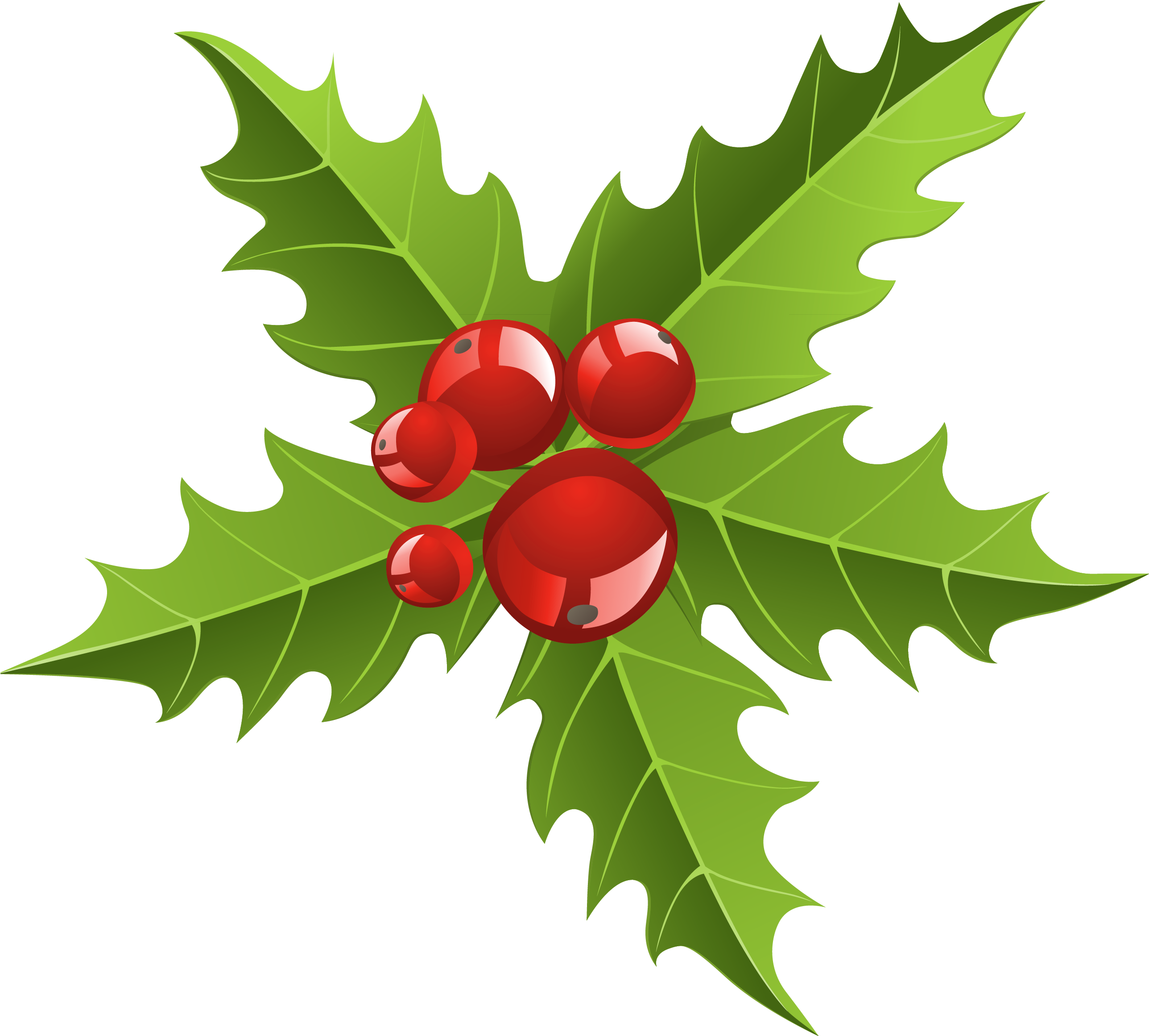 Christmas Holly Berries Illustration