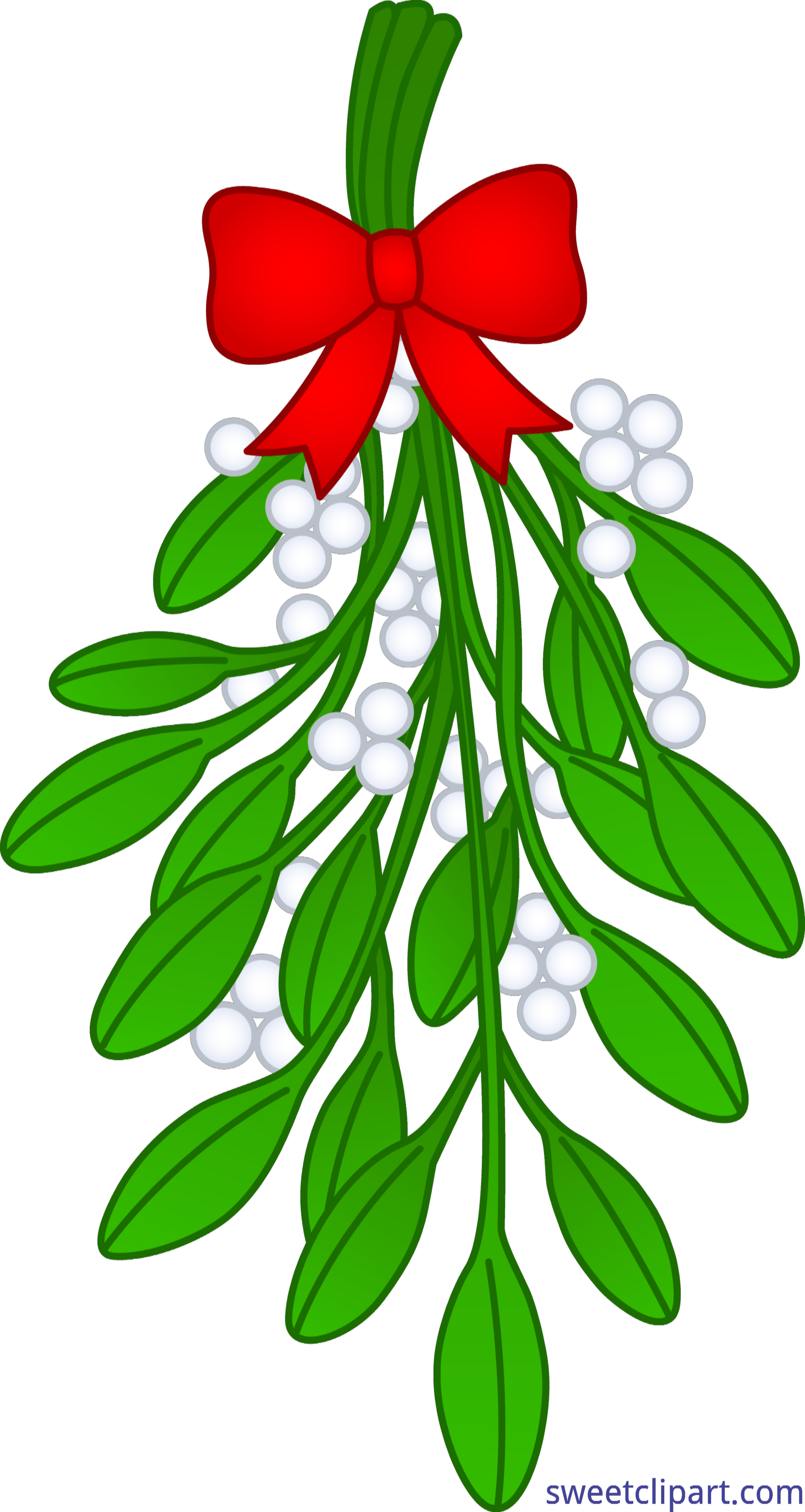 Mistletoe Vector Christmas Tree - Mistletoe Clipart Free PNG with transparent background