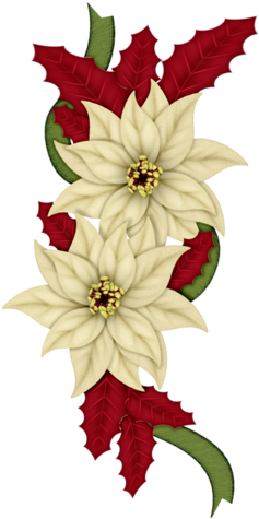 Christmas Bows, Christmas Flowers, Christmas Clipart, - Happy Holidays- Christmas, Holiday, Poinsettia Card PNG with transparent background