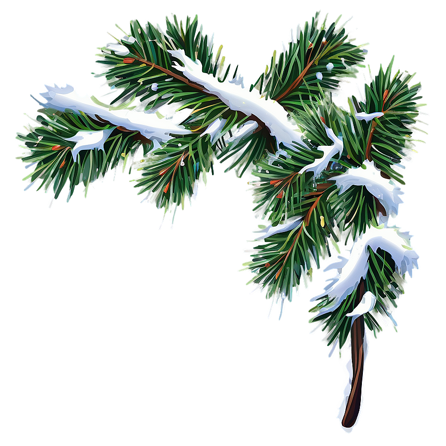 Christmas Snow Fir Branch Png 59