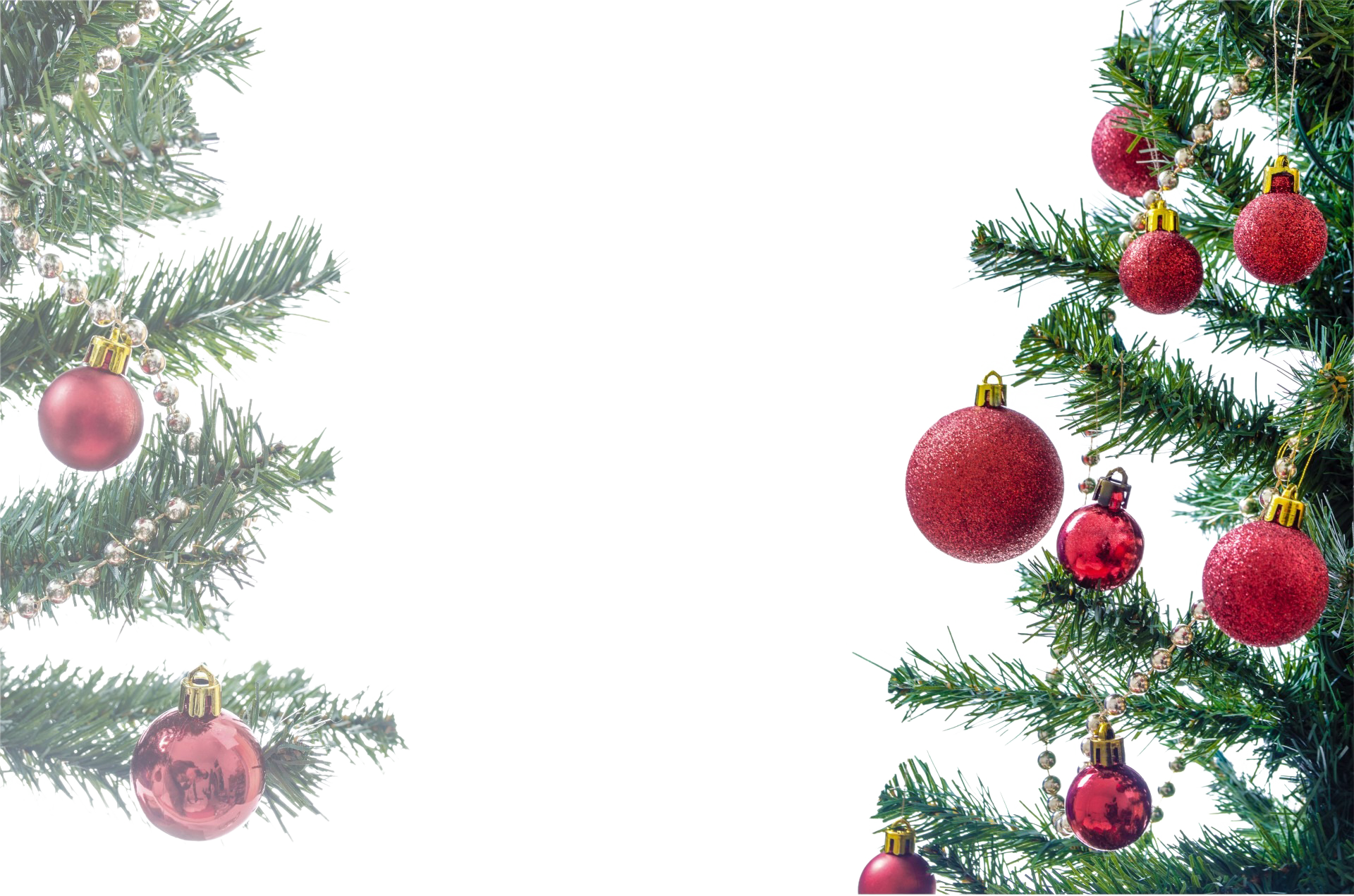 Christmas Tree Branches Red Ornaments