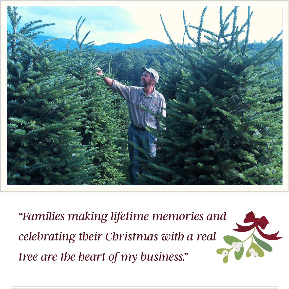 Aboutjoe - Mistletoe Meadows PNG with transparent background