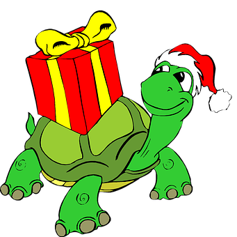 Christmas Turtlewith Gift