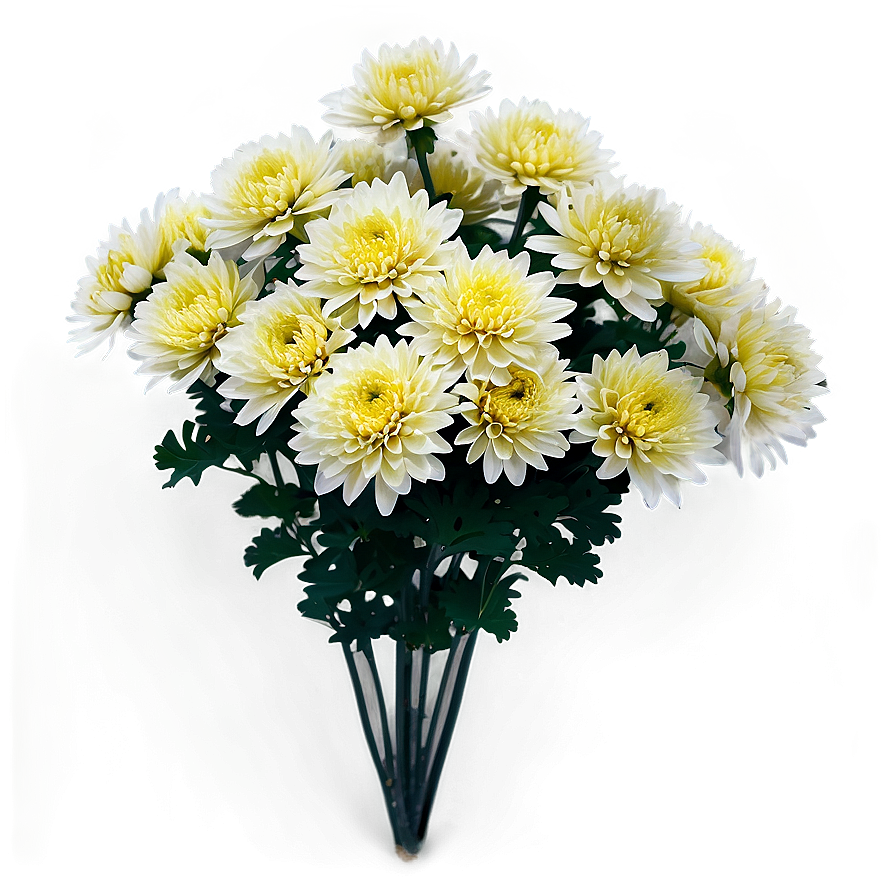 Chrysanthemum Flower Bush Png 06122024