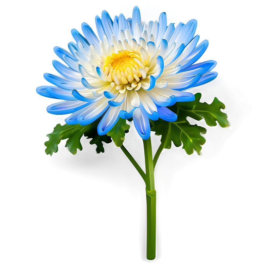 Chrysanthemum Flower Transparent Png Gix14