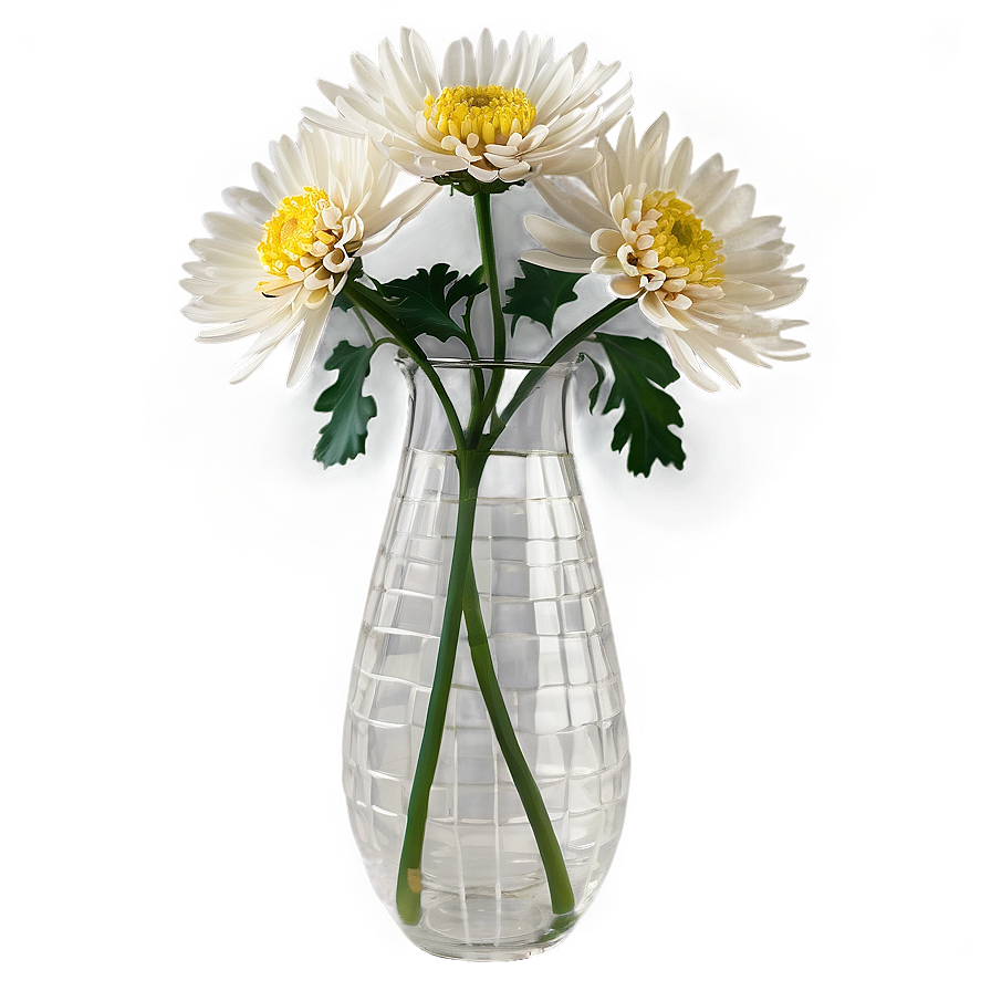 Chrysanthemum In Vase Png Hsj