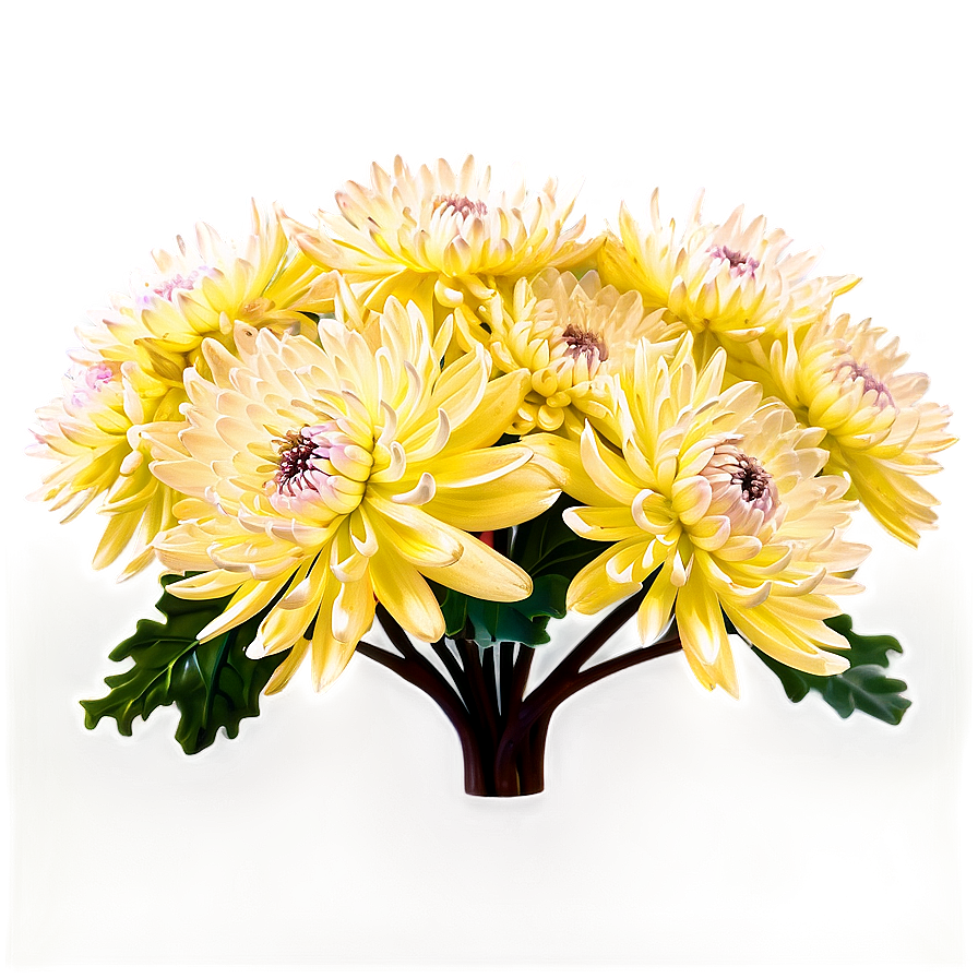 Chrysanthemum Landscape View Png Opm