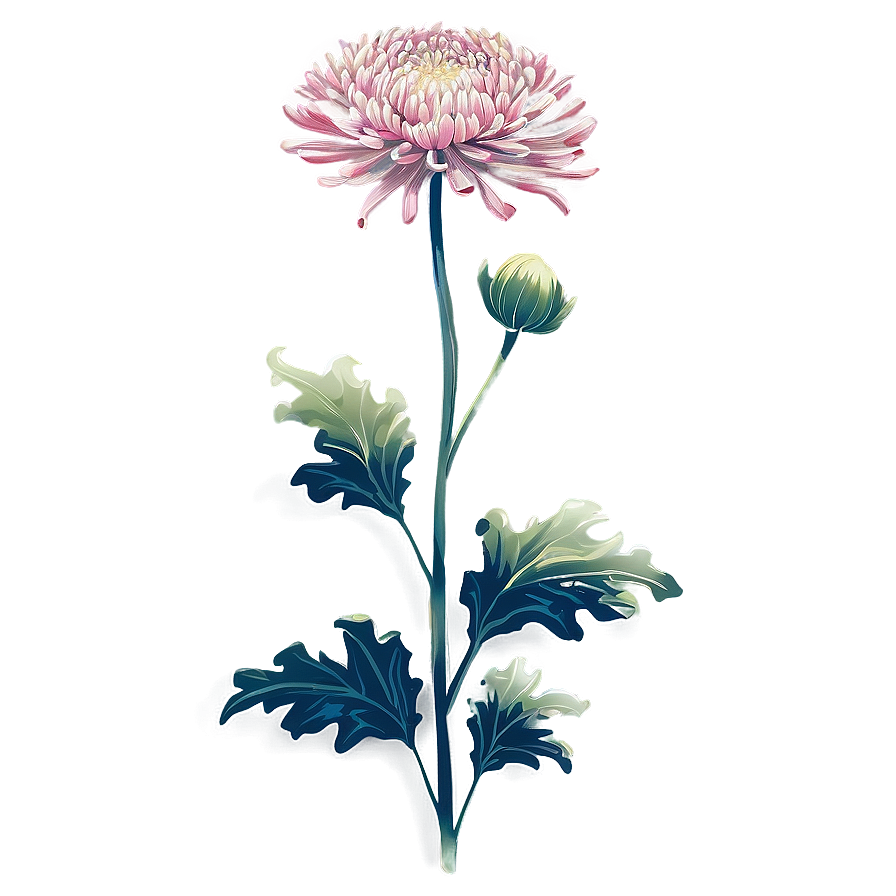 Chrysanthemum Traditional Art Png 56