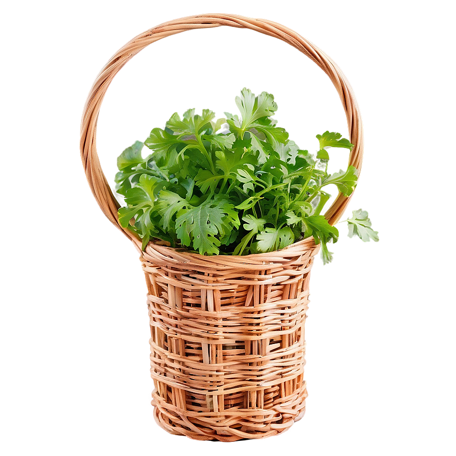 Cilantro In Basket Png Vhx