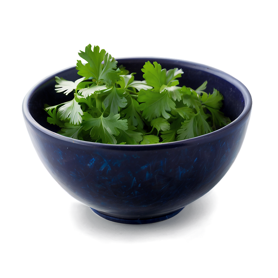 Cilantro In Bowl Png 38