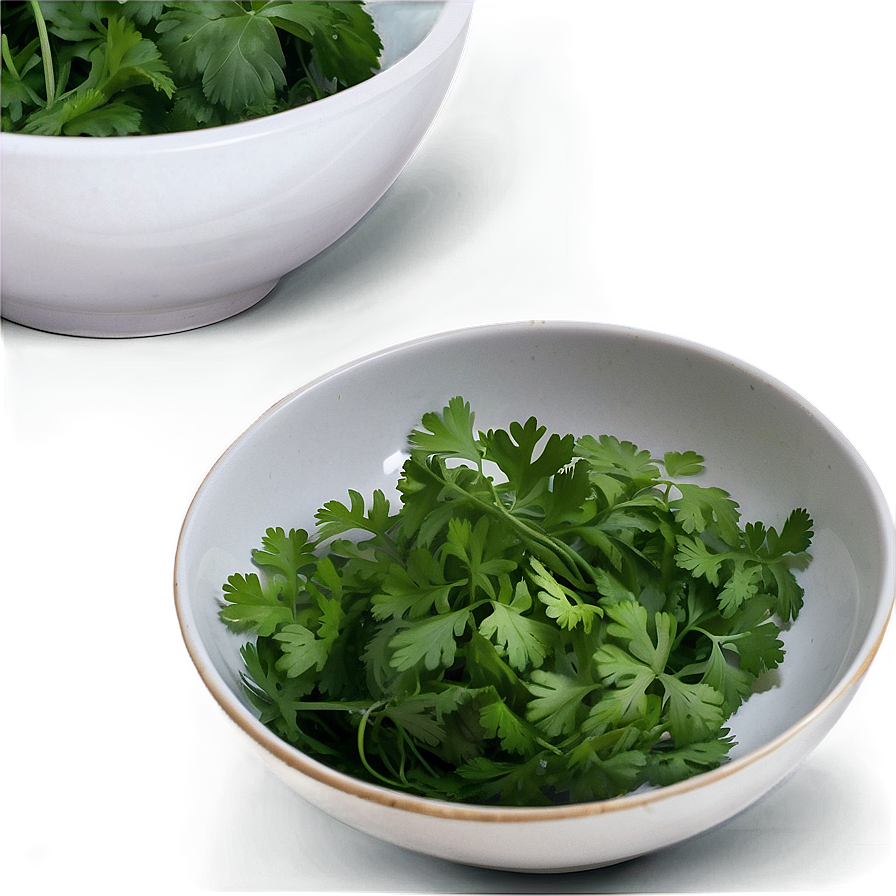 Cilantro In Bowl Png Ian45