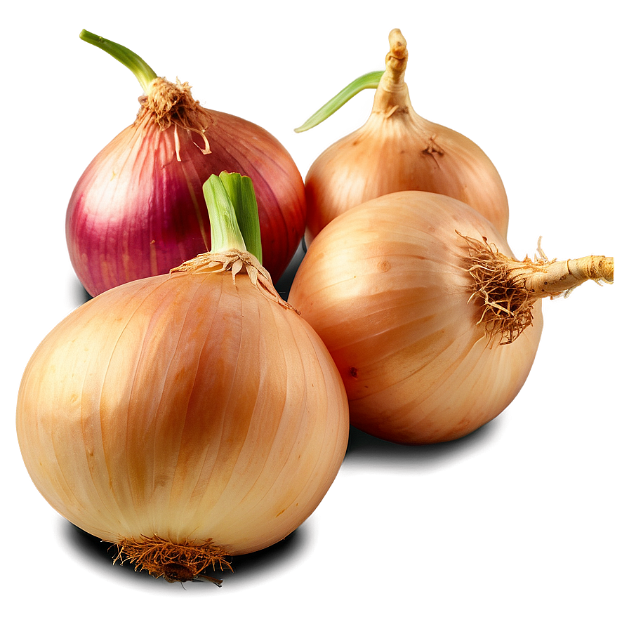 Cipollini Onion Bunch Png 06122024