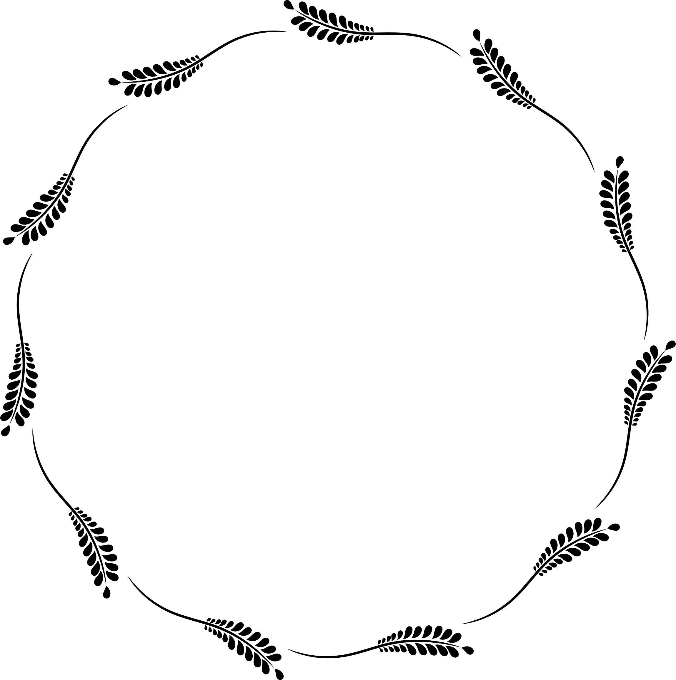 Vine Frame Png - Transparent White Vine Frames, Png Download PNG with transparent background