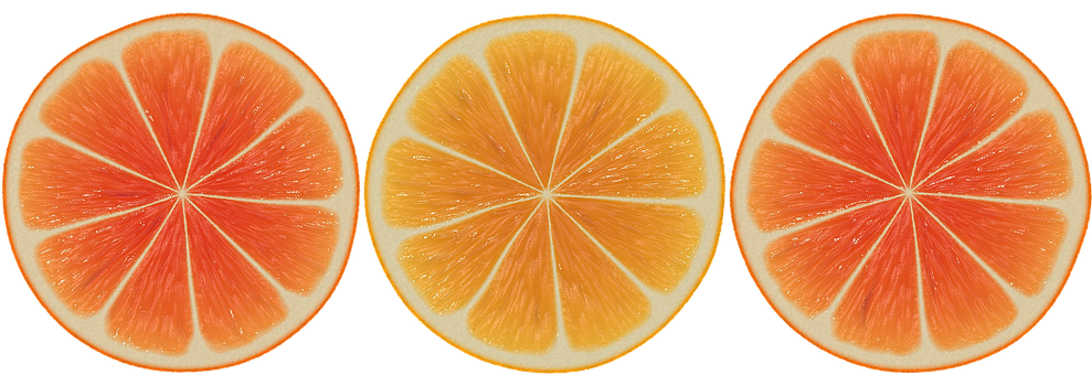 Citrus Slices Triptych PNG with transparent background