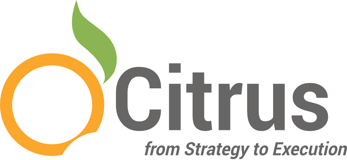 Citrus Strategyto Execution Logo