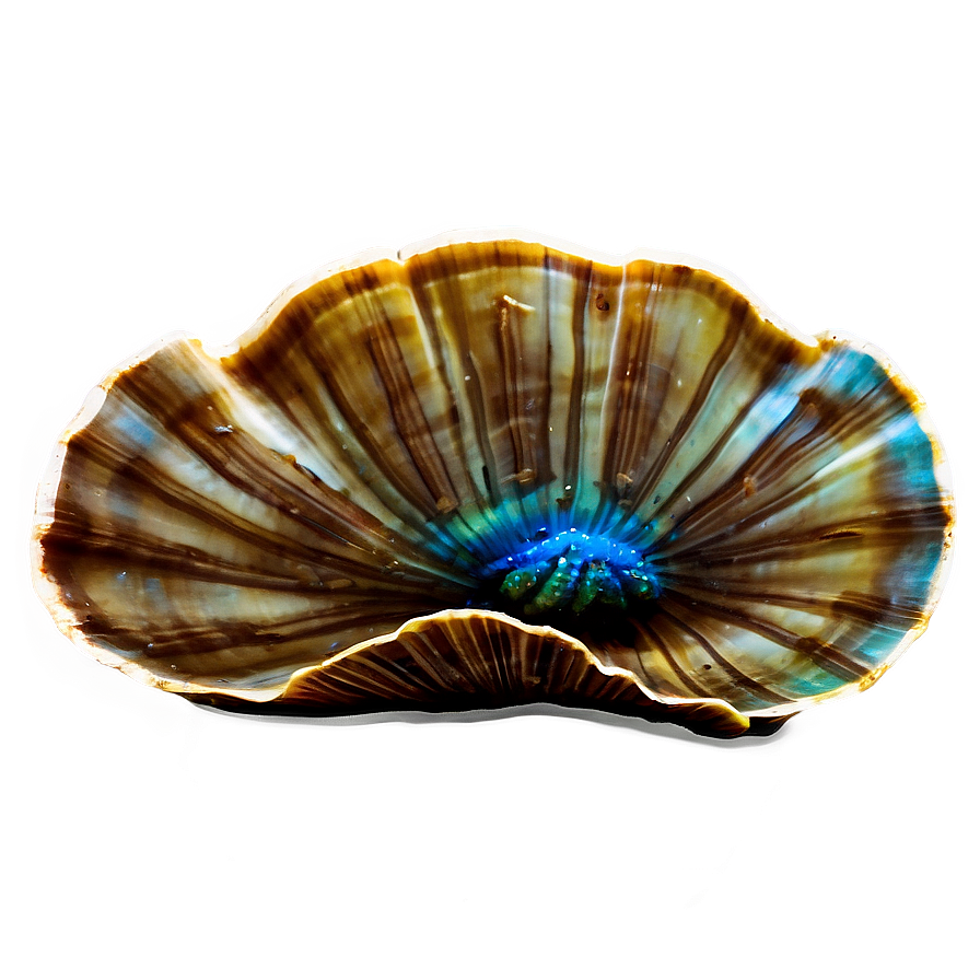 Clam With Coral Reef Background Png Ynl21