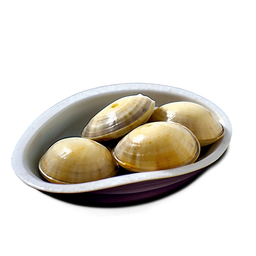 Clam With Sea Salt Png 87