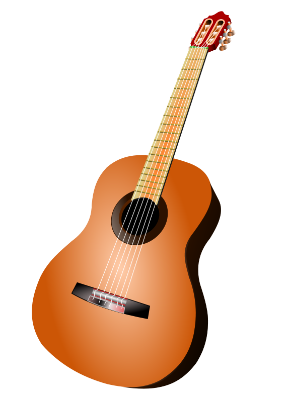 Classic Acoustic Guitar Illustration