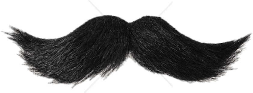 Classic Black Moustache Illustration