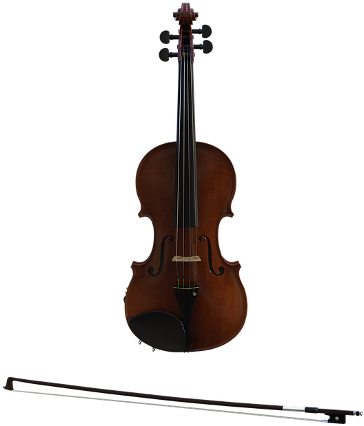 String Instrument,musical Instrument,string Instrument,violin, HD Png Download PNG image with a transparent background, free high-resolution download