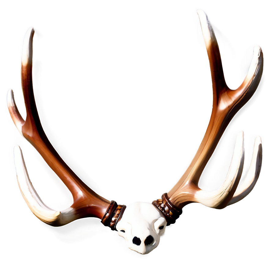 Classic Deer Antler Image Png Tdr66