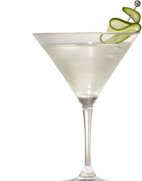 Classic Martini Cocktail Garnish