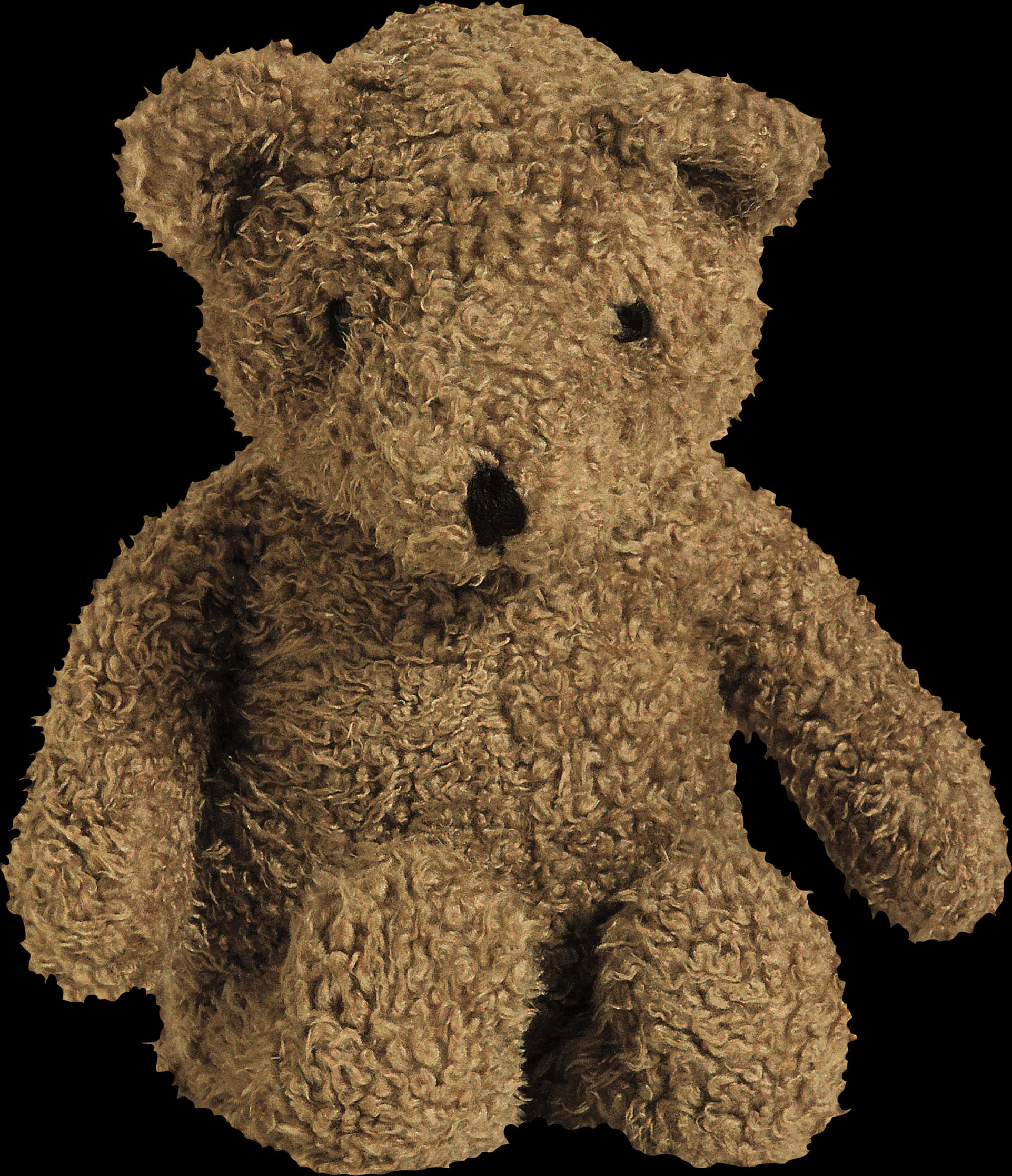 Classic Teddy Bear Portrait