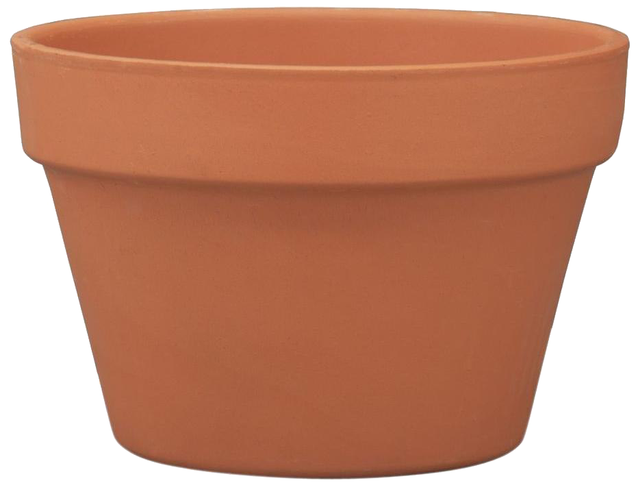 Classic Terra Cotta Plant Pot