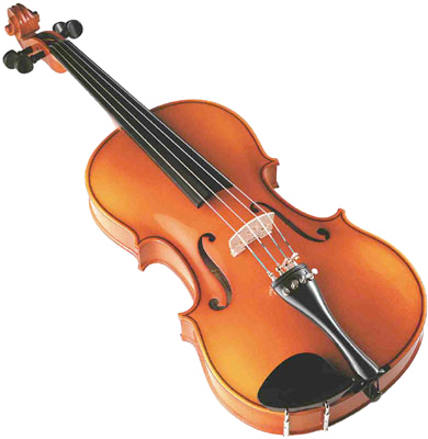 Classic Violin Isolated