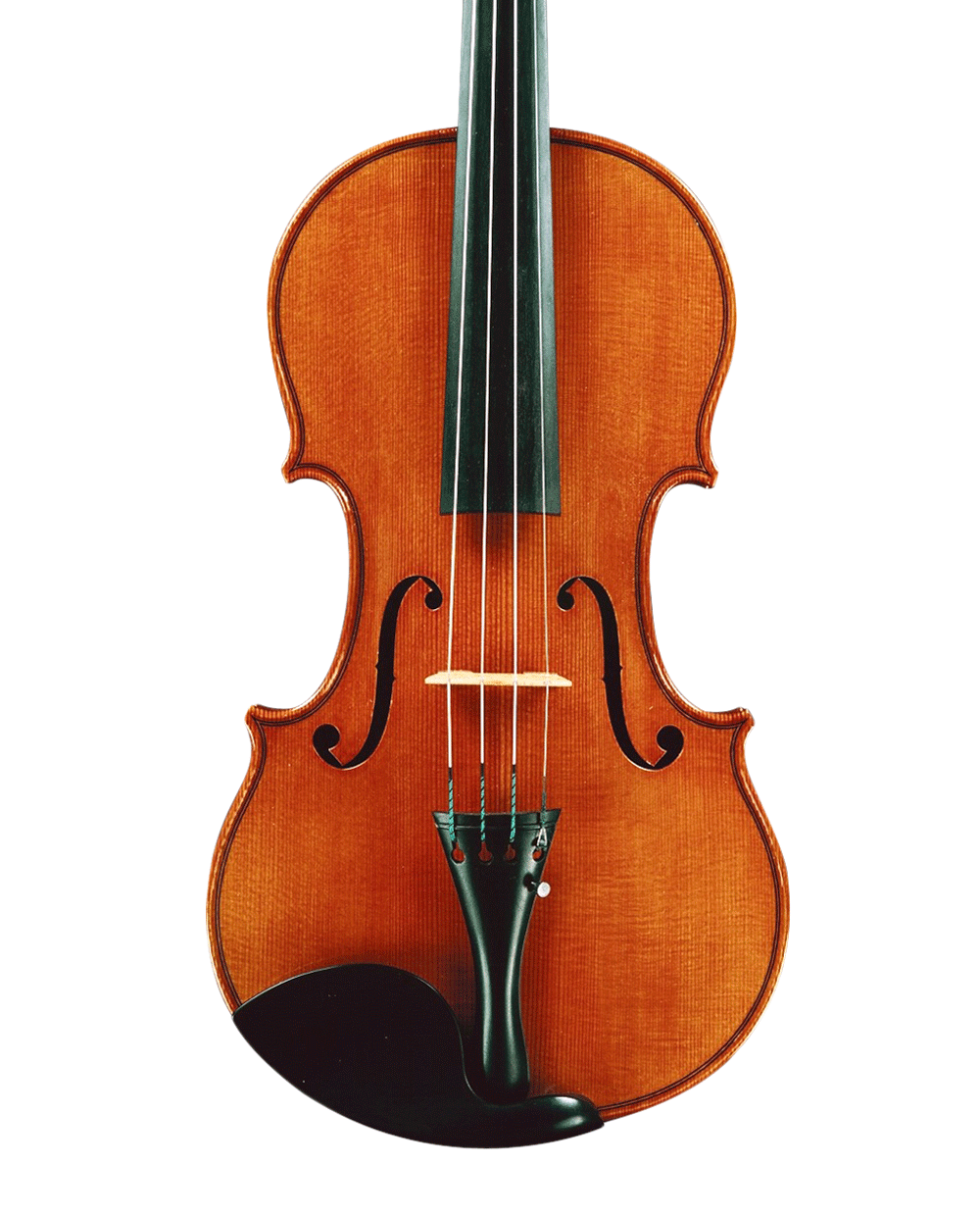 Classic Violinon Black Background